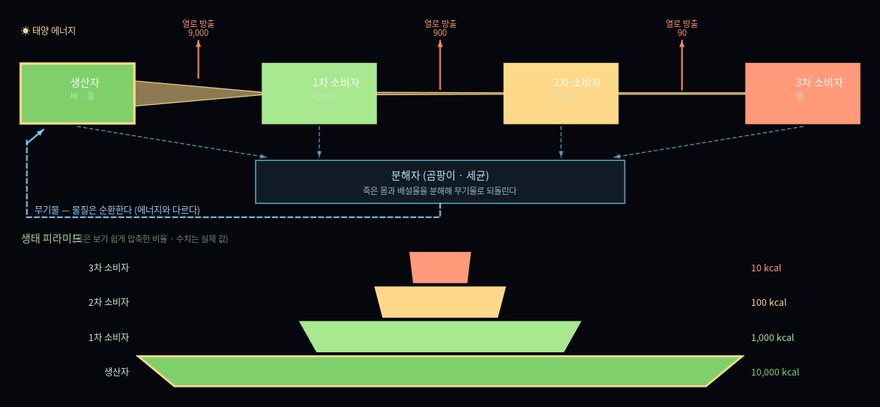 생태계와 에너지 흐름 학습 화면